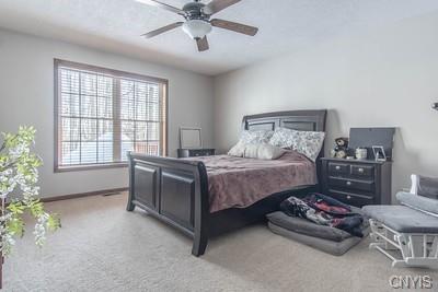 Beautiful Spacious Ranch Home